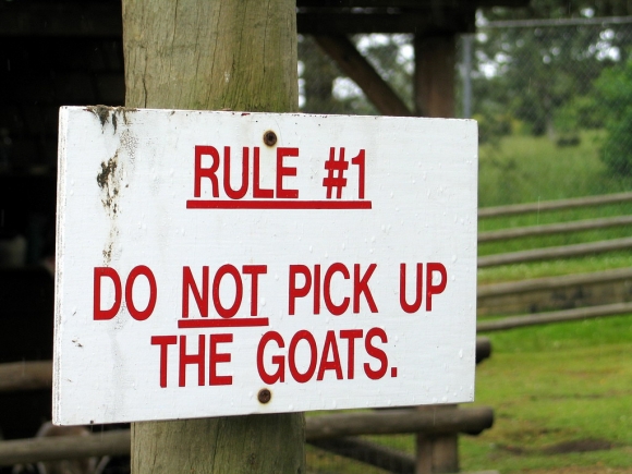 Do not pick up the goats